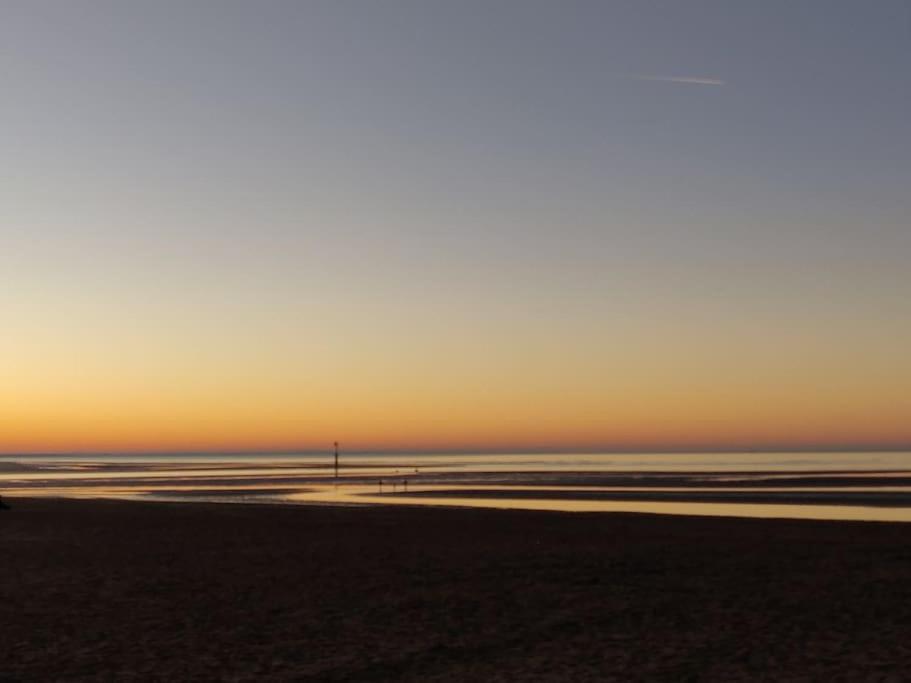 La Baleine - Hyper Centre, Charme Et Calme A Deux Pas De La Mer Cabourg Eksteriør billede